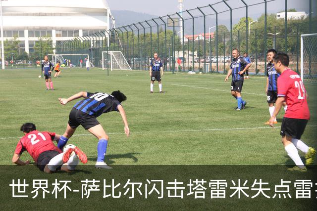 世界杯-萨比尔闪击塔雷米失点雷扎伊扬扳平 半场埃及1-1伊朗